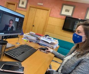 Castilla-La Mancha se suma a la solicitud aprobada en el Comité de las Regiones de más apoyo a los sectores culturales y creativos tras la COVID