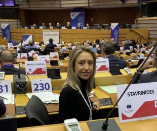 Castilla-La Marcha se suma a la aprobación del dictamen para desarrollar el Pacto Verde Europeo contra el cambio climático