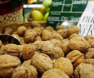 imagen de las nueces de nerpio