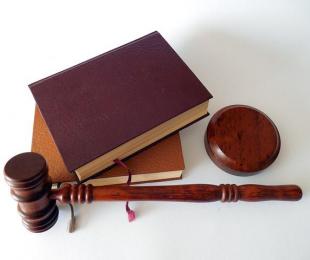 imagen de maza y libro judicial