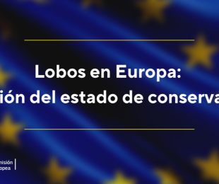 &amp;quot;Lobos en Europa: revisión del estado de conservación&amp;quot;