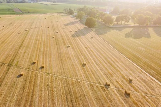 Política agrícola común 2023-2027: la Comisión aprueba los primeros planes estratégicos de la PAC