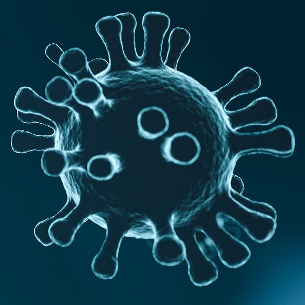 Coronavirus
