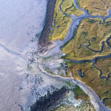 desembocadura de un río formando un delta