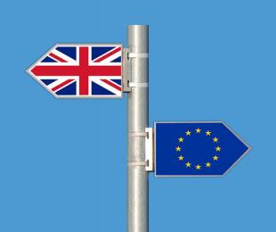 Relaciones entre la UE y el Reino Unido: soluciones encontradas para contribuir a la aplicación del Protocolo sobre Irlanda e Irlanda del Norte