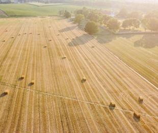 Política agrícola común 2023-2027: la Comisión aprueba los primeros planes estratégicos de la PAC