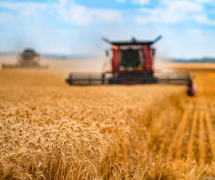 El PE quiere una política agrícola común más sostenible y resistente para garantizar la seguridad alimentaria en la UE