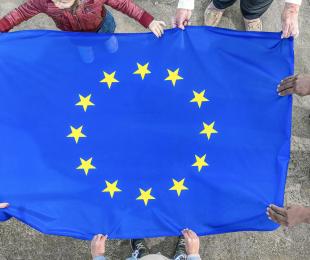 derechos fundamentales