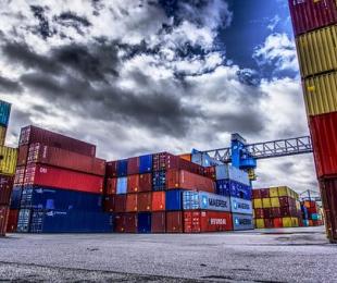 exportación