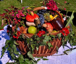 Imagen de Cesta de fruta, Frutas y Cosecha