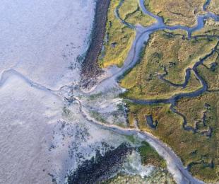 desembocadura de un río formando un delta