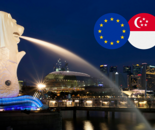 Acuerdo sobre Comercio Digital UE-Singapur