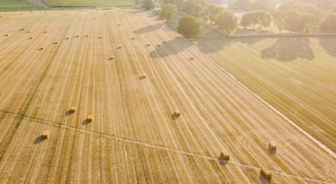 Política agrícola común 2023-2027: la Comisión aprueba los primeros planes estratégicos de la PAC