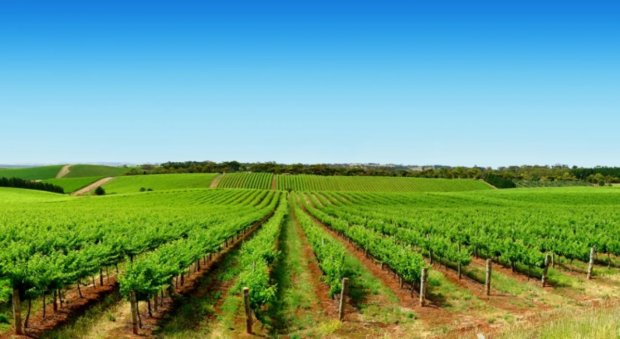 La Comisión se congratula por el acuerdo político sobre las normas transitorias para la política agrícola común (PAC)