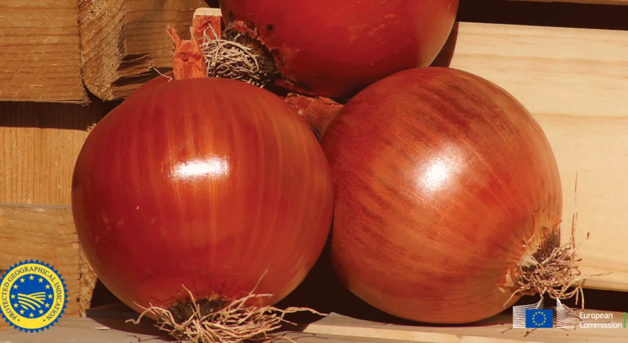 Cebolla de la Mancha