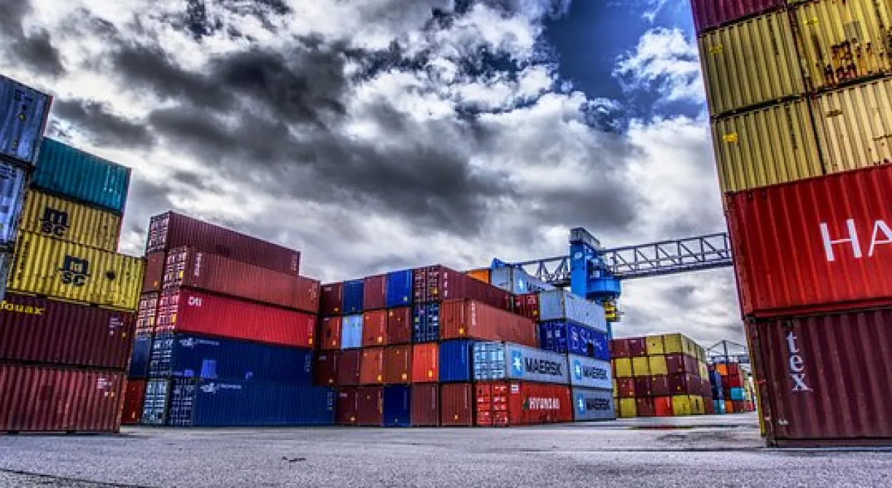 exportación