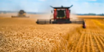 El PE quiere una política agrícola común más sostenible y resistente para garantizar la seguridad alimentaria en la UE