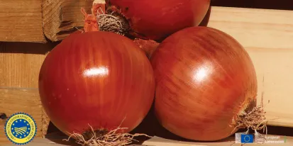 Cebolla de la Mancha