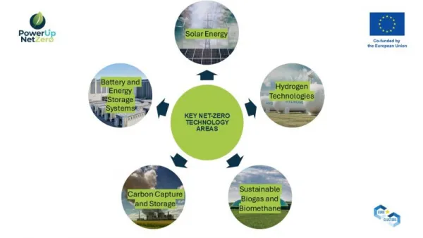 net zero