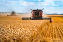 El PE quiere una política agrícola común más sostenible y resistente para garantizar la seguridad alimentaria en la UE