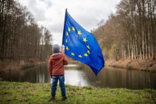 niño en un bosque con una bandera de europa
