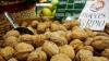imagen de las nueces de nerpio